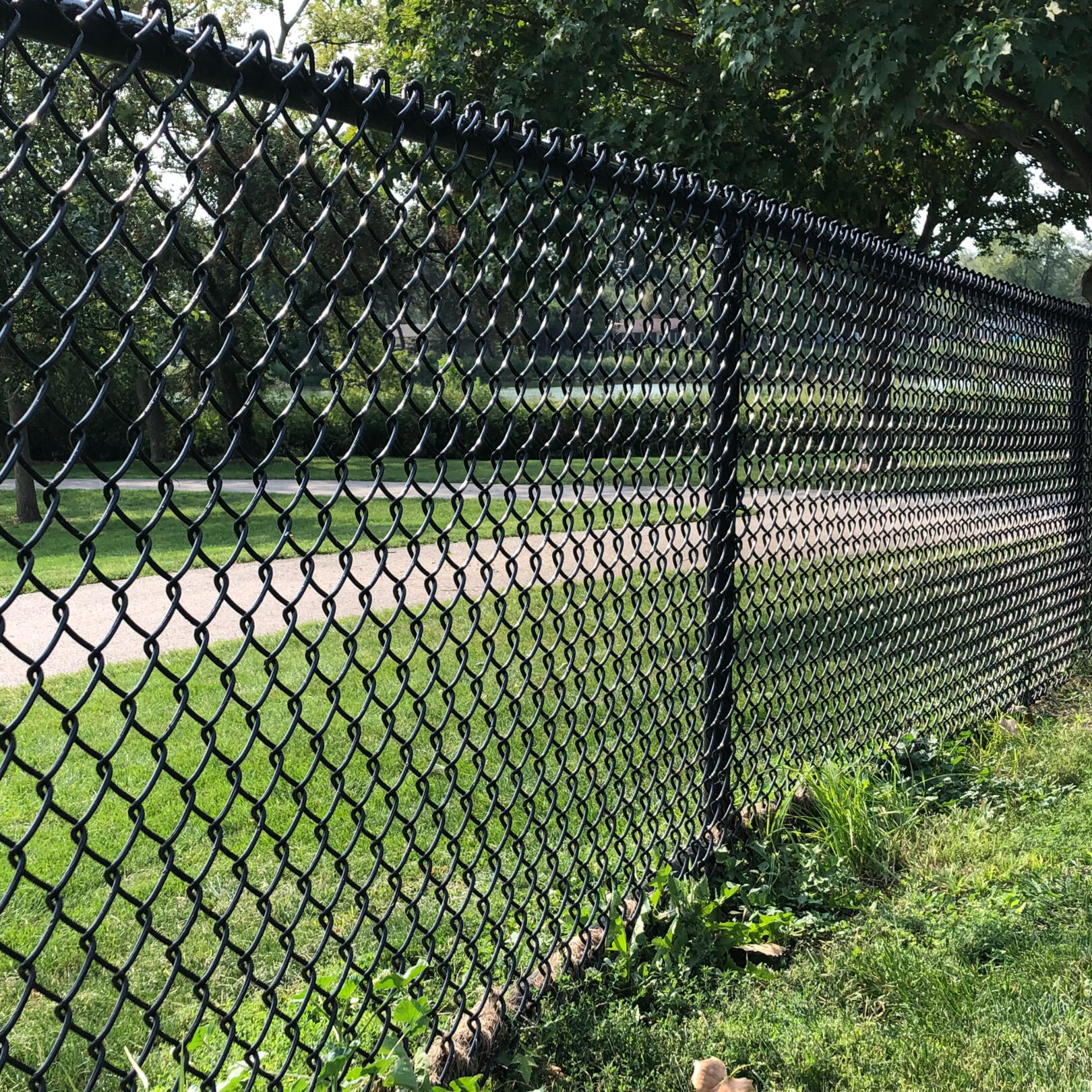 chain link fence Carol Stream fence company illinois
